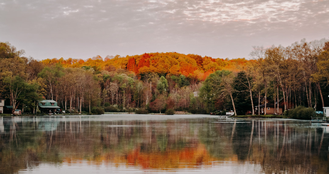 Trees lining a lake in the fall