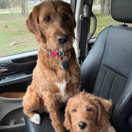 Sara Paul -Jovie and Margo